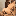 A11497114101120120120