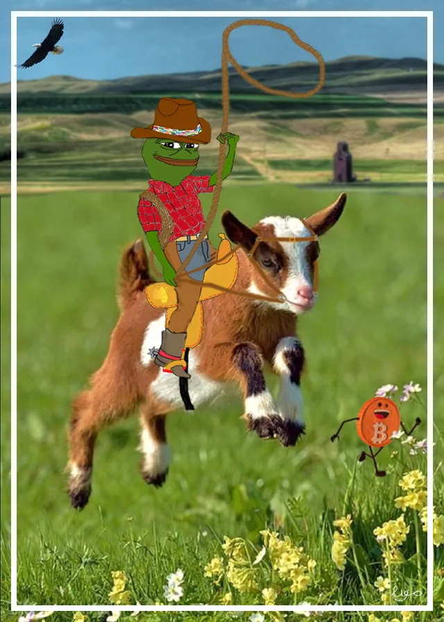 A16663474161342267506