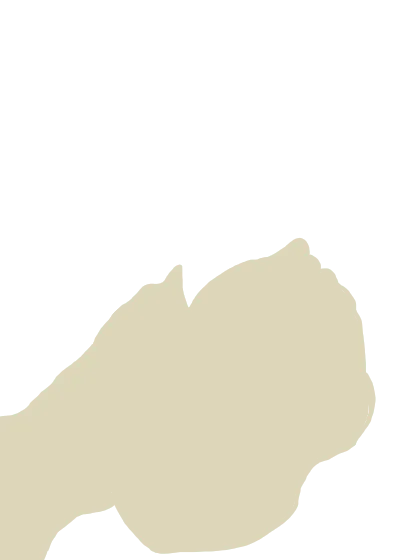 A1708155882904701569