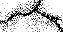 A455696940656520727