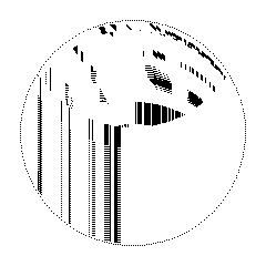 A805877198889130888