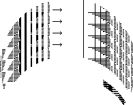 A884109839388882598
