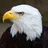 BALDEAGLE