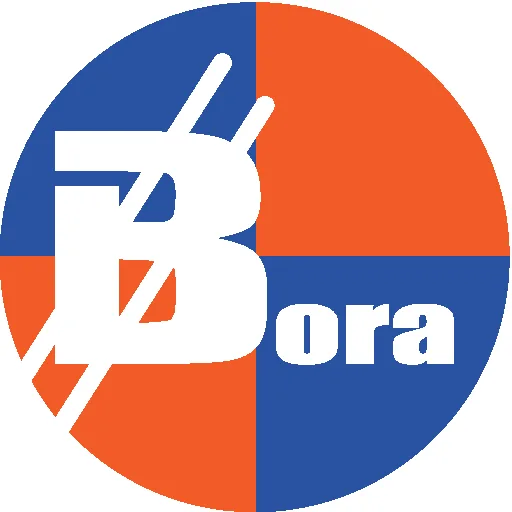 BORACOIN