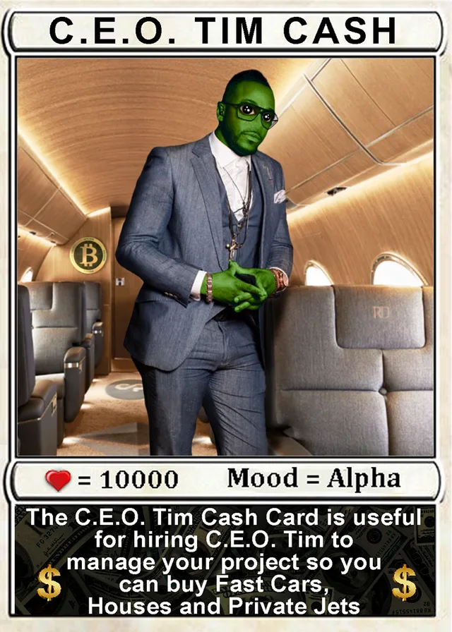 CEOTIMCASH