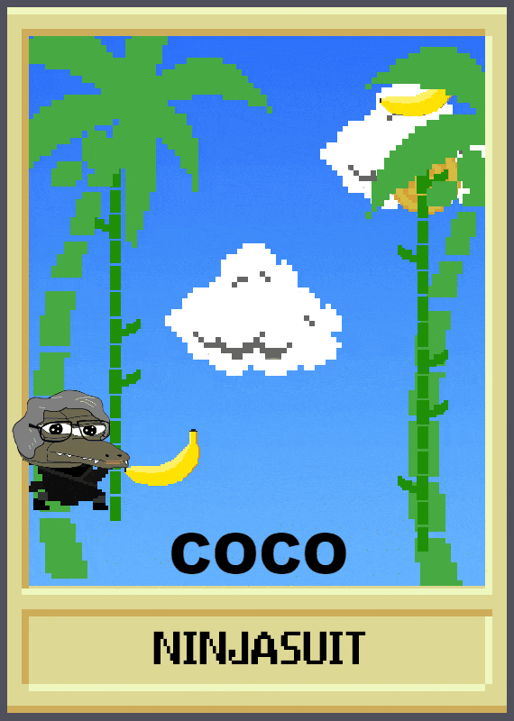 COCOSUIT