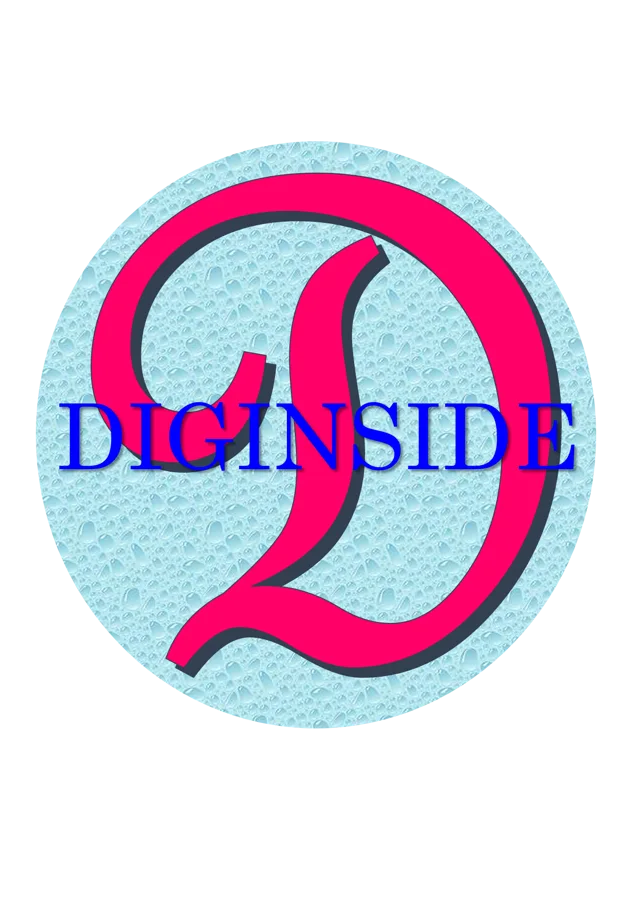 DIGINSIDE