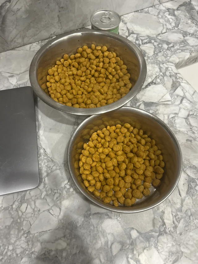 DOGFOOD