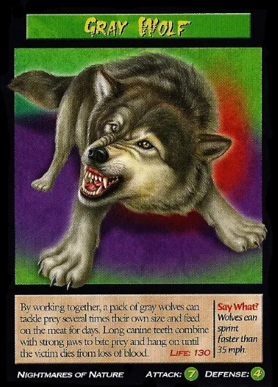 GRAYWOLF