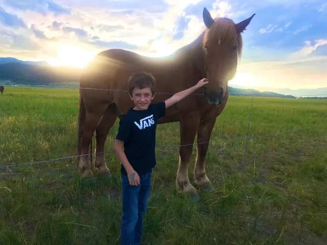 HORSEPASTURE