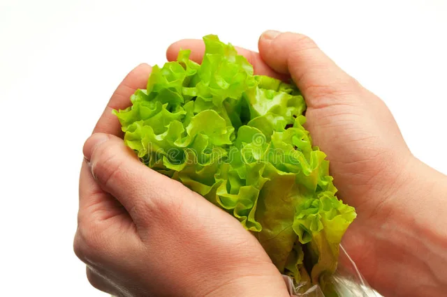 LETTUCEHANDS