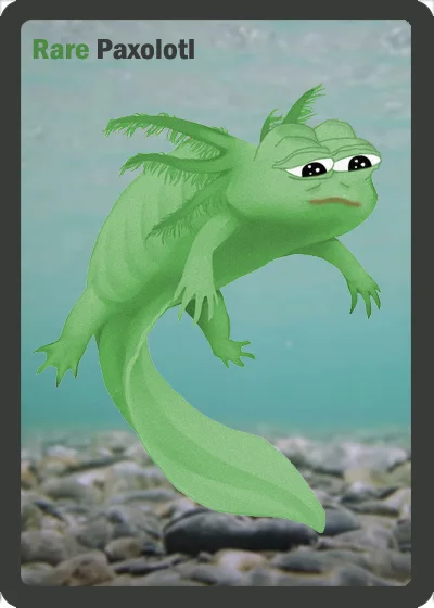 PAXOLOTL
