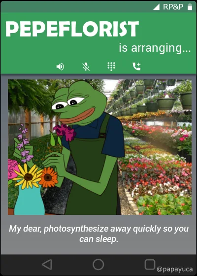 PEPEFLORIST
