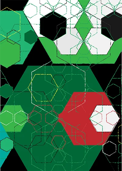 PEPEFRACTAL