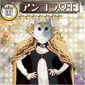 QUEENOFCAT
