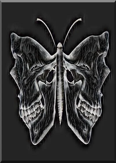 SKULLEVOLXRY