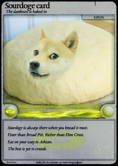 SOURDOGE