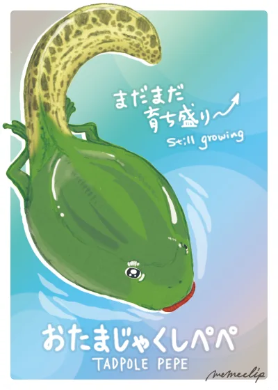 TADPOLEPEPE