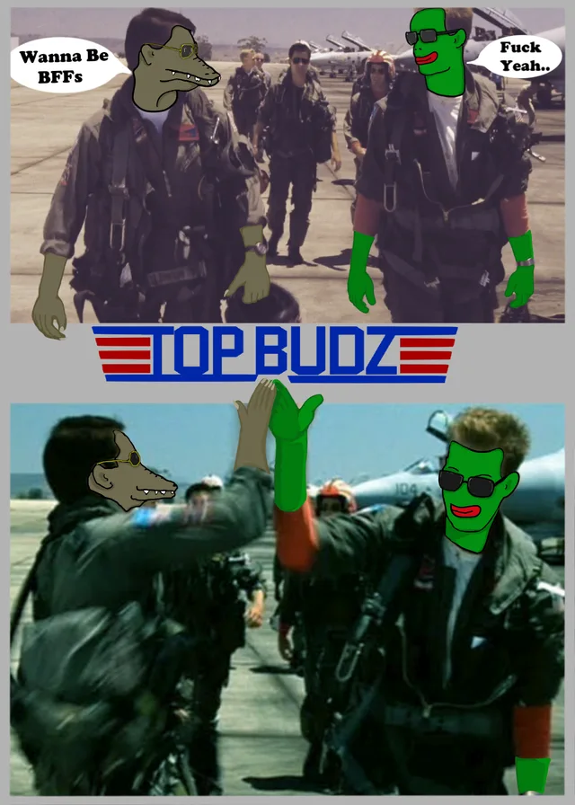TOPBUDZ
