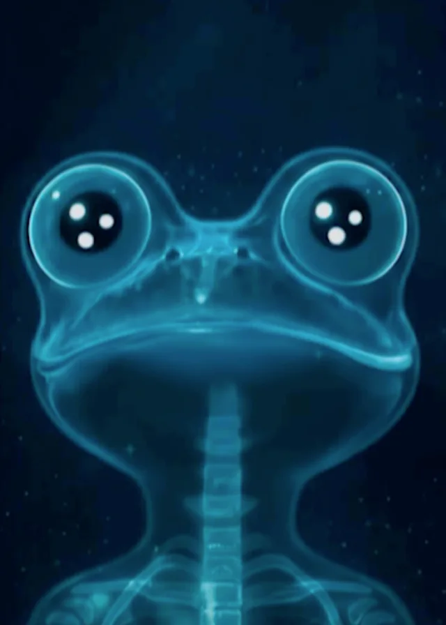 XRAYPEPE