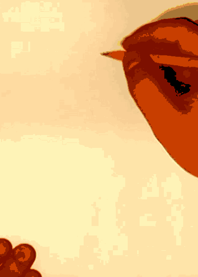 YOUCANPEPE